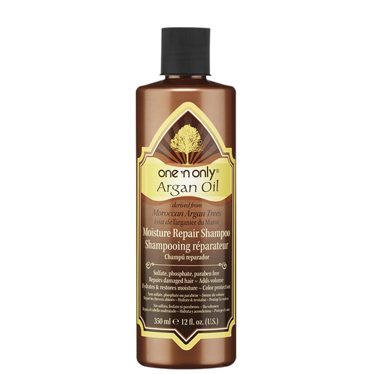 Argan Oil Moisture Repair Shampoo 12 oz