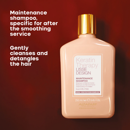 ALFAPARF MILANO Lisse Design Maintenance Shampoo